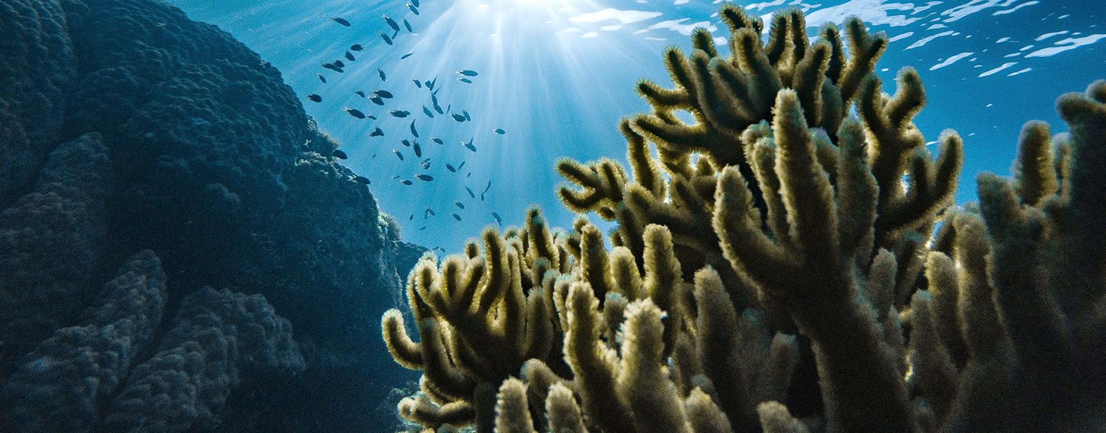 122cc太阳集成游戏中水回用、、、陶瓷膜、、、石墨烯膜、、、黑金膜公众号，，接待您扫码关注！！