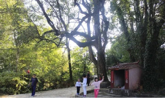 122cc太阳集成游戏(中国)有限公司官网