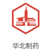 122cc太阳集成游戏相助同伴：东北制药